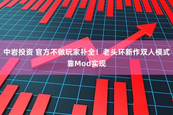 中岩投资 官方不做玩家补全！老头环新作双人模式靠Mod实现
