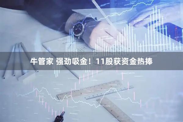 牛管家 强劲吸金！11股获资金热捧