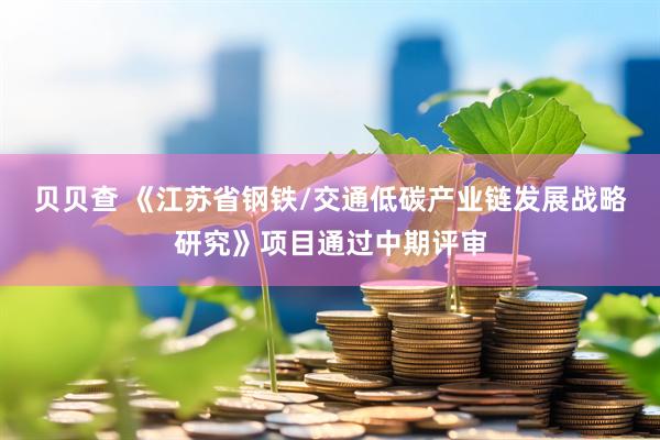贝贝查 《江苏省钢铁/交通低碳产业链发展战略研究》项目通过中期评审