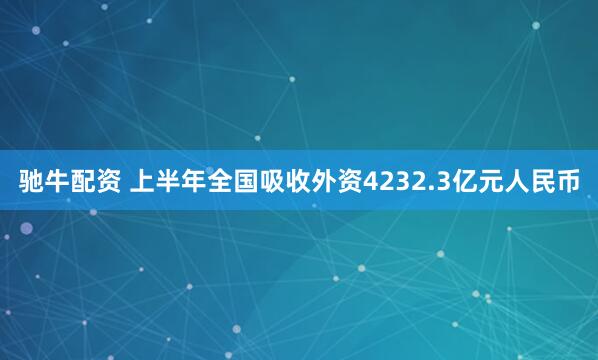 驰牛配资 上半年全国吸收外资4232.3亿元人民币