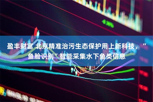 盈丰财富 北京精准治污生态保护用上新科技，“鱼脸识别”智能采集水下鱼类信息