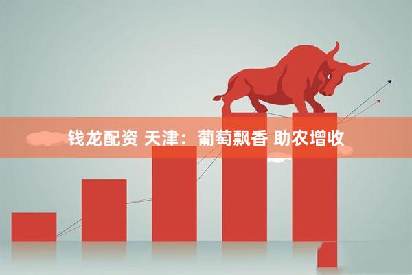 钱龙配资 天津：葡萄飘香 助农增收
