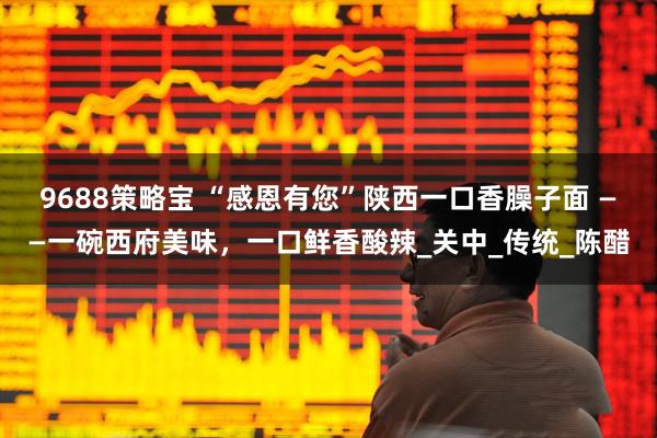 9688策略宝 “感恩有您”陕西一口香臊子面 ——一碗西府美味，一口鲜香酸辣_关中_传统_陈醋