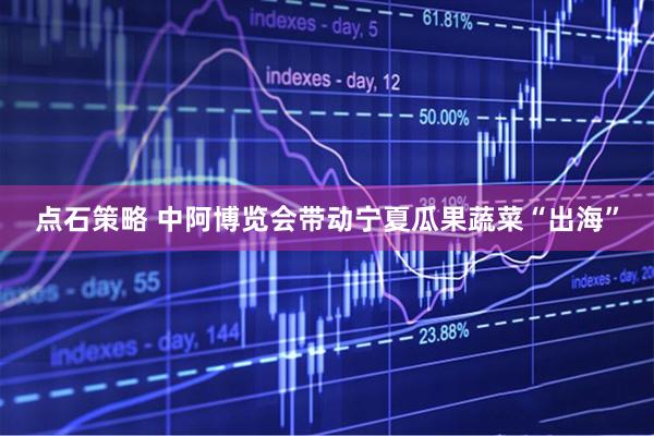 点石策略 中阿博览会带动宁夏瓜果蔬菜“出海”