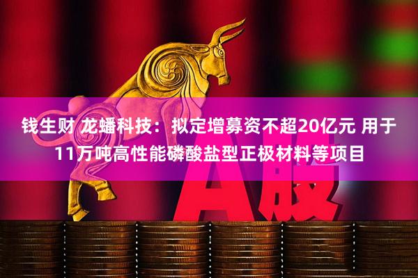 钱生财 龙蟠科技：拟定增募资不超20亿元 用于11万吨高性能磷酸盐型正极材料等项目
