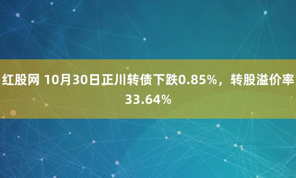 红股网 10月30日正川转债下跌0.85%,转股溢价率33.64%