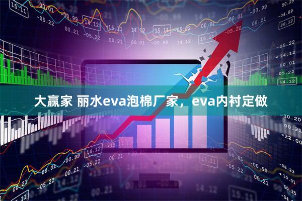 大赢家 丽水eva泡棉厂家，eva内衬定做